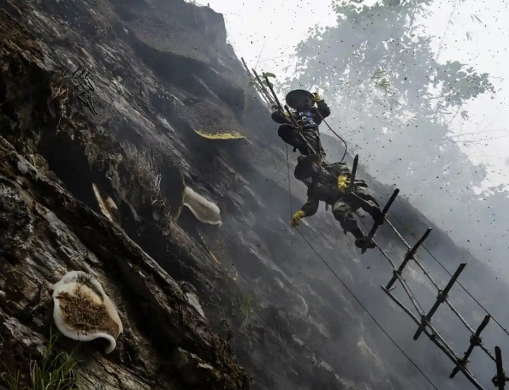 Yunnan honey hunters 2