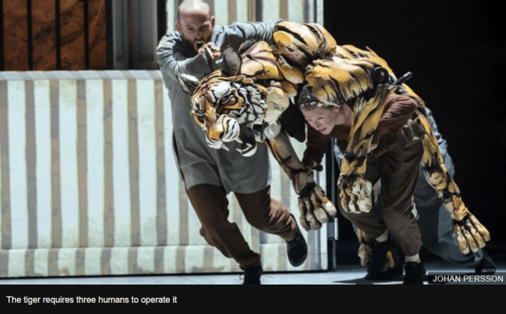 lifeofpistageplaytiger