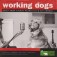 Working dogs-Nonfiction-nv-h